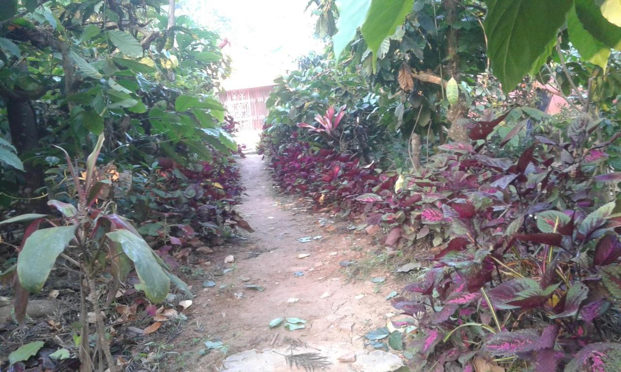 Dreams Home Estate Stay Suntikoppa Exterior foto